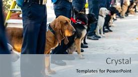  Presentation with school police - 