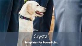  Presentation with school police - 