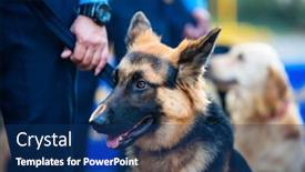  Presentation with school police - 