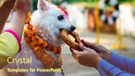  Presentation with school police - Audience pleasing presentation theme consisting of kathmandu-nepal-october-29-2016 backdrop and a tawny brown colored foreground