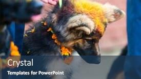  Presentation with school police - 