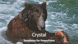  Presentation with brown bear - PPT layouts featuring katmai national park brown bear background and a tawny brown colored foreground