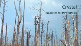  Presentation with destruction - Amazing presentation theme having katrina hurricane destruction still visible two years later backdrop and a light blue colored foreground