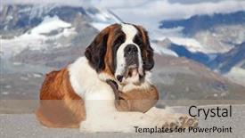  Presentation with ready - PPT theme having keg ready for rescue background and a coral colored foreground