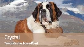  Presentation with ready - Beautiful presentation featuring keg ready for rescue backdrop and a coral colored foreground