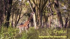  Presentation with savannah - Amazing slide deck having kenia-african-savannah backdrop and a tawny brown colored foreground