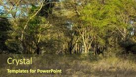  Presentation with desert - Slide deck consisting of kenia-desert-acacia-thickets background and a tawny brown colored foreground