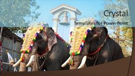  Presentation with india festival - Beautiful PPT theme featuring kerala culture - decorated elephants for parade backdrop and a arctic colored foreground
