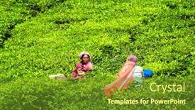  Presentation with munnar - 