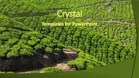  Presentation with munnar - Colorful presentation design enhanced with kerala india travel background - green backdrop and a  colored foreground