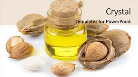  Presentation with apricot - Audience pleasing PPT theme consisting of kernel oil and apricot kernels backdrop and a coral colored foreground