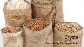  Presentation with kernel corn - PPT theme with kernel seed meal and grains background and a coral colored foreground