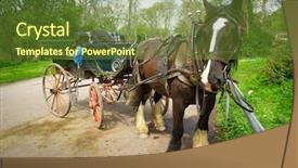  Presentation with killarney - Cool new PPT layouts with kerry - horse ride in killarney national backdrop and a  colored foreground