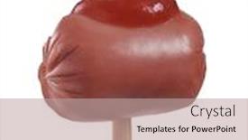  Presentation with tomato ketchup - Presentation design consisting of ketchup-tomato-sauce-un-mini background and a coral colored foreground