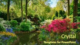  Presentation with garden - Beautiful presentation theme featuring keukenhof flower garden also known backdrop and a tawny brown colored foreground