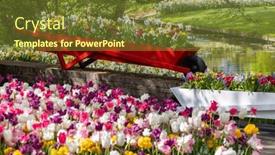  Presentation with tulip - Presentation theme featuring keukenhof-flower-garden-largest-tulip background and a tawny brown colored foreground