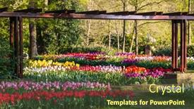  Presentation with tulip - Theme featuring keukenhof-flower-garden-largest-tulip background and a tawny brown colored foreground