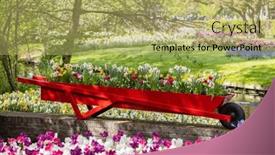  Presentation with tulip - Slide set featuring keukenhof-flower-garden-largest-tulip background and a yellow colored foreground