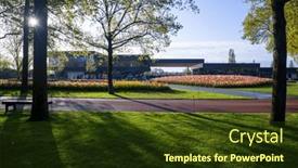  Presentation with tulip - PPT layouts consisting of keukenhof-flower-garden-largest-tulip background and a  colored foreground