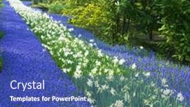  Presentation with gardens - PPT theme featuring smiling woman using laptop at airport while waiting for her flight background and a violet colored foreground