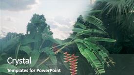  Presentation with floral abstract - Beautiful PPT theme featuring kew garden - abstract floral image backdrop and a  colored foreground