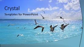  Presentation with florida beach - Slide deck consisting of key west florida beach clearence background and a light blue colored foreground