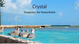  Presentation with florida beach - Colorful slide deck enhanced with key west florida beach clearence s higgs memorial in usa backdrop and a light blue colored foreground