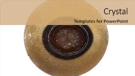  Presentation with insect - Slide deck featuring keywordinsect - egg of stick insect background and a coral colored foreground