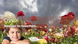  Presentation with strong wind - PPT theme having khamsin - east wind from the desert heavy rain cloud over a flower field blooming garden buttercups sway in the strong wind the concept of ecological rural and photo tourism background and a tawny brown colored foreground
