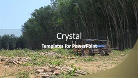  Presentation with palm oil industry - 