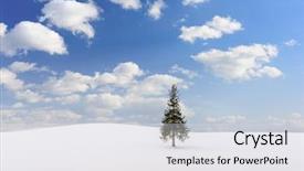  Presentation with christmas tree - Beautiful presentation theme featuring ki - biei japan at the christmas backdrop and a light gray colored foreground