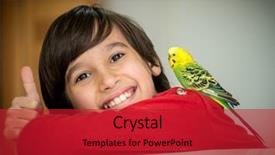 Presentation with parrot - PPT theme having kid playing with his pet parrot background and a crimson colored foreground