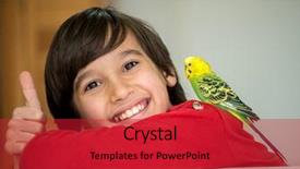  Presentation with parrot - Amazing presentation having kid playing with his pet parrot backdrop and a crimson colored foreground