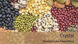  Presentation with kidney bean - PPT theme having kidney - legume abstract - top view background and a coral colored foreground
