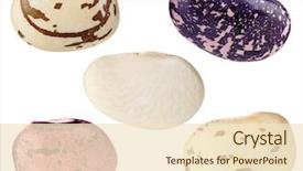  Presentation with high quality - Cool new presentation theme with kidney - phaseolus vulgaris beans set isolated backdrop and a lemonade colored foreground