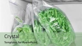  Presentation with plastic bags - Slide deck having kidney - plastic bags with frozen green background and a seafoam green colored foreground