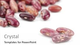  Presentation with kidney - Cool new PPT theme with kidney-beans-closeup backdrop and a white colored foreground
