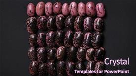  Presentation with kidney - PPT theme enhanced with kidney beans on black background background and a wine colored foreground