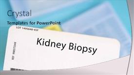  Presentation with kidney cancer - Presentation theme having kidney-biopsy-a-small-piece background and a light blue colored foreground