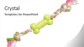  Presentation with copy space - Slide set having kids bones - dog toy - colorful cotton background and a white colored foreground