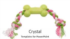  Presentation with kids space - Colorful theme enhanced with kids bones - dog toy - colorful cotton backdrop and a white colored foreground