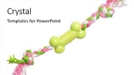  Presentation with kids space - PPT theme having kids bones - dog toy - colorful cotton background and a white colored foreground