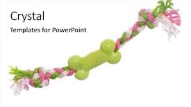  Presentation with olympic games ring - Presentation theme having kids bones - dog toy - colorful cotton background and a white colored foreground