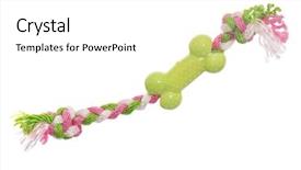  Presentation with dog bone chewing - Presentation design with kids bones - dog toy - colorful cotton background and a white colored foreground