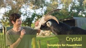  Presentation with wildlife goat - PPT layouts featuring kids-feeding-a-goat background and a tawny brown colored foreground