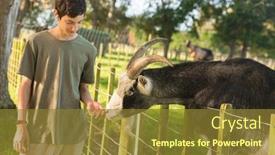  Presentation with wildlife goat - Theme consisting of kids-feeding-a-goat background and a tawny brown colored foreground