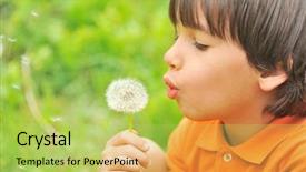  Presentation with dandelion - Beautiful slide set featuring kid blowing dandelion outdoor on green backdrop and a yellow colored foreground
