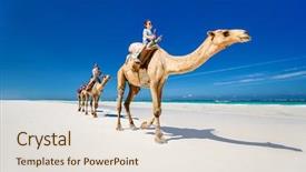  Presentation with white sand - Beautiful PPT theme featuring kids riding camels at tropical backdrop and a lemonade colored foreground