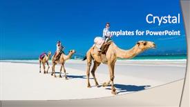  Presentation with summer camp diverse kids - Presentation theme having kids riding camels at tropical background and a teal colored foreground