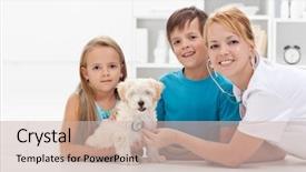  Presentation with veterinary - Slide deck consisting of kids taking their fluffy pet background and a soft green colored foreground